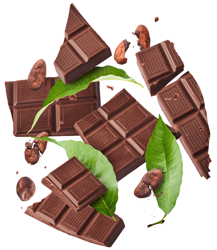 Taste Testing - Chocolate