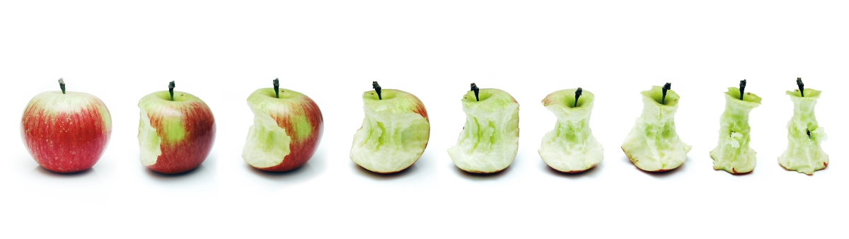 The evolution of sensory science