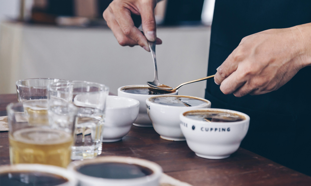 How Does Sensory Research Differ from Consumer Research?