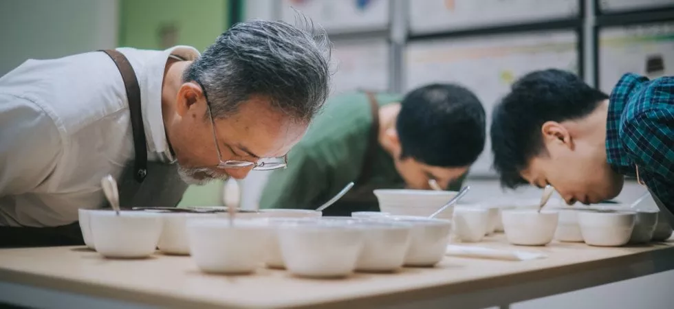 What Can Your Brand Expect as Part of a Sensory Research Service?